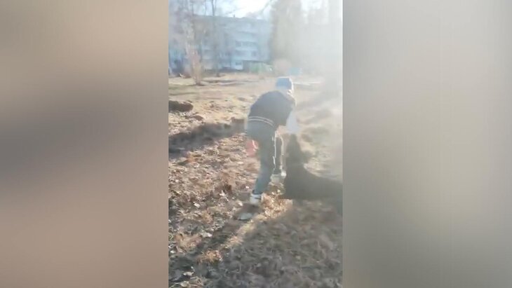 ������ ����������� �� ����� ����� � �������� �������