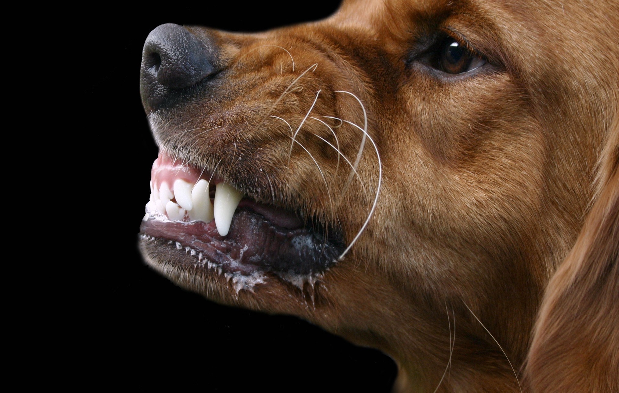 �� ����� ������ ����� ������������ ������ ������ 