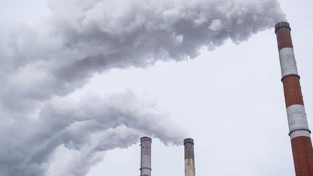 �� ���-������� ������� ����������� ������������  ��������� � 51 ���