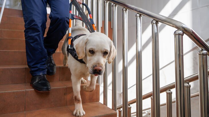 ���� �� ����������� � �������-��������� ������� ����������� � ������