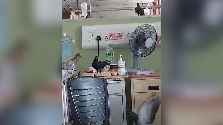 ������ �������� ��������� � �������� ��������