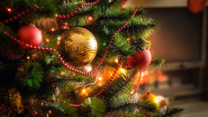 �������� �������, ��� ����� ��������� 62,6 ��� ��� �� ������������ ������ ����