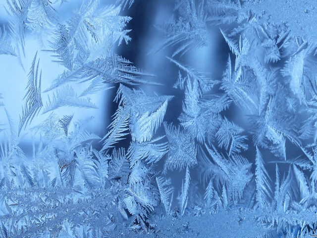 ��������� ���� ����� ����� �������� � ������ ����