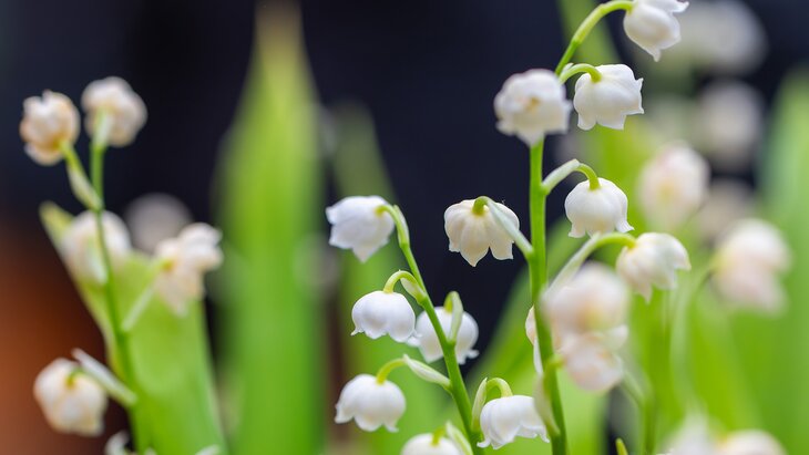 ������� ������ ����������, ���������� ��-�� ����� � �������� �������