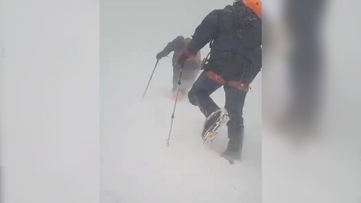 ����� �������� �� �������� ��������-����������� �� ������ ����� ��-�� ��������