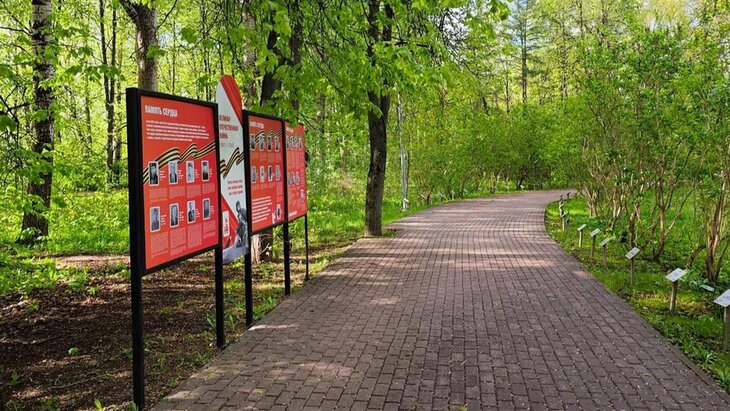 ����� ����� �������� � ����� "�������� ������"