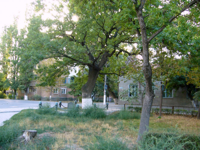 � ������ ��� � ������ ������� ������� � ������ 