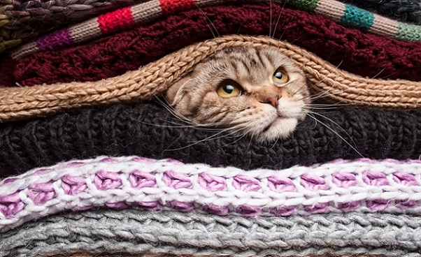 ������ ���� ��� ����������� ������ ��. ��������� ������ (������� ����) �������� � �������