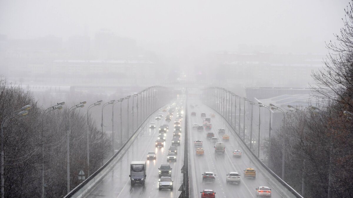 ���: ������ ����, ������� ����� � ���������� ��������� � ������ 19�20 ������