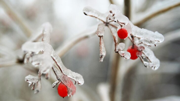 ������� ����� ��������� � ������ �� ����� ���