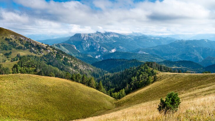 ���������� ������������� ��������� � ���� ���������� ����� ����� �������������