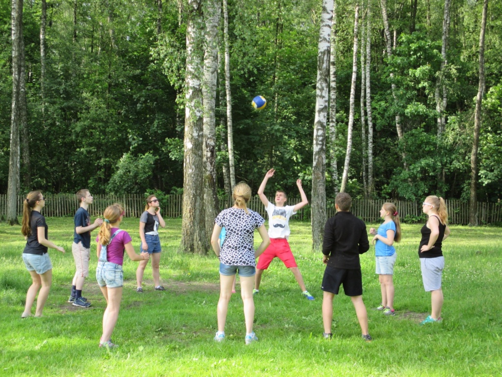 ������ ������������� �������� �� �������� ����������� ����������� 