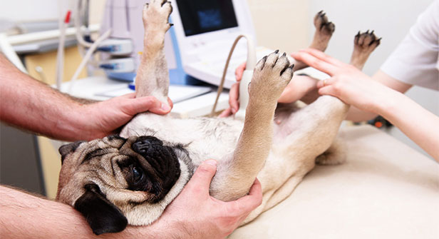 ���������� ���� ���������� �������� ����������� ��� ������� ����� �� 944 �����