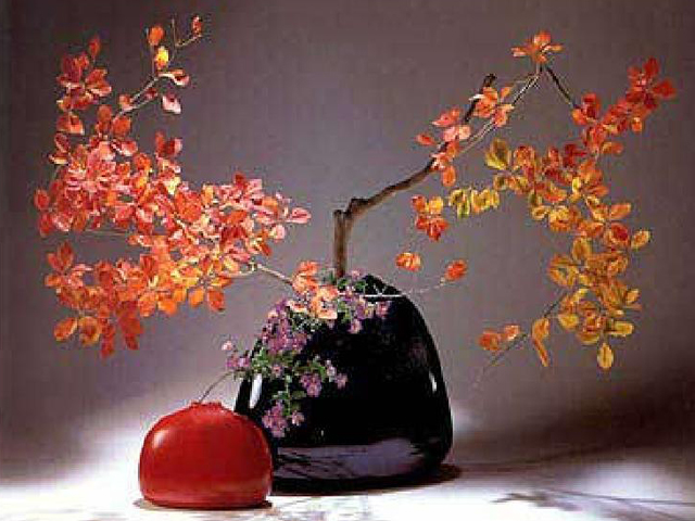 � ��� �������� �� ���������� ������������� ������� ������ ��� ������� 