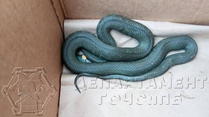 ���� �������� � ������� � �����������