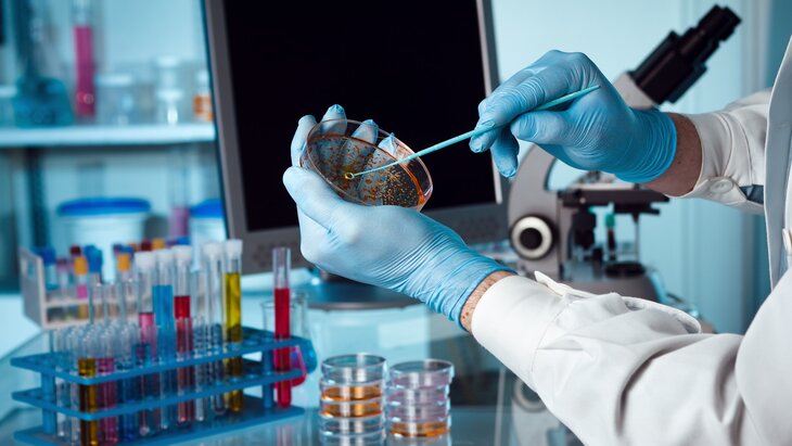 � ������� ��������������� ������ ������ ���� ����