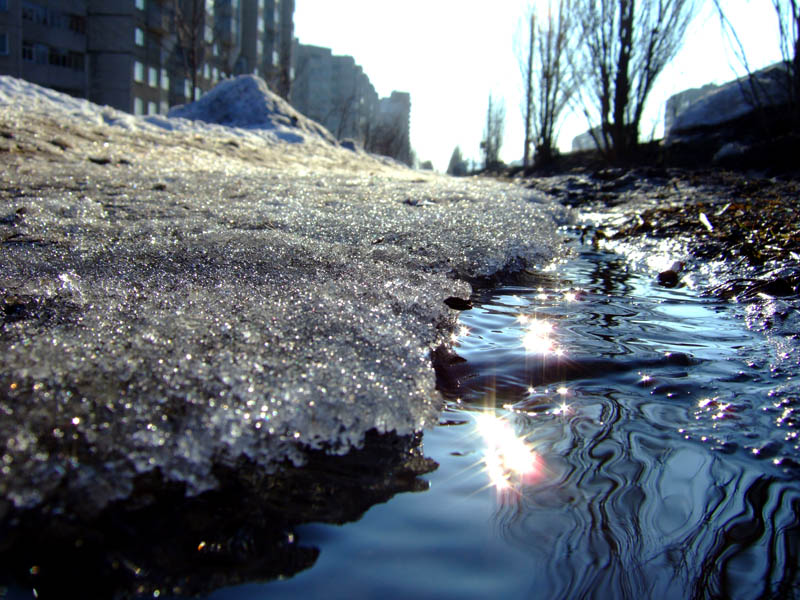 ���� � ������ ������ �� ��������