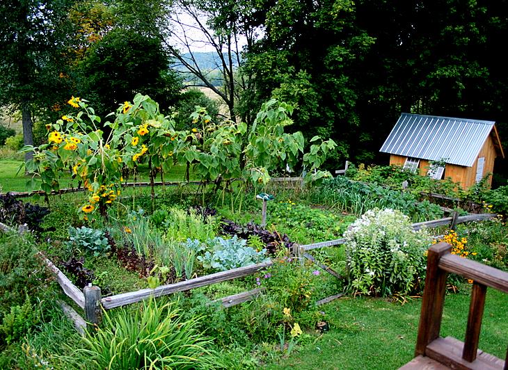 �� ������� ����������� � ������ ��� ��� ����������� ������  