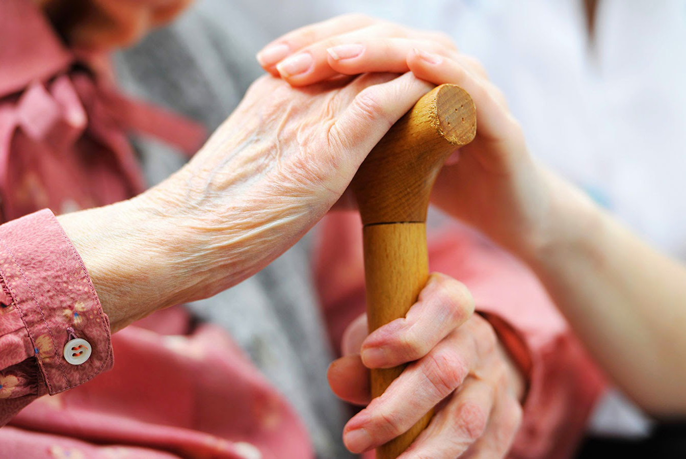 � ������ ��������� ������������ � ��������� ������� ����� � ��������� ����� ����� � ������� �����