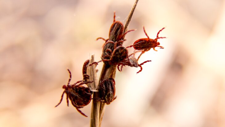 �������� ��� ����������� � ���������� ������������ ������ ��-�� ������� ����