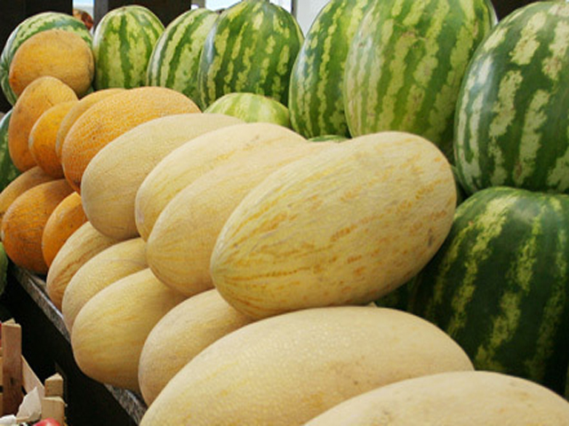 ��������� ������ �������� 13 ���������, ��������� � ����������� �������� ��������