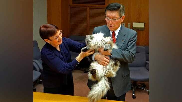 � ������ ���� ��� ���, ���������� ������� ����������� ���������� �����