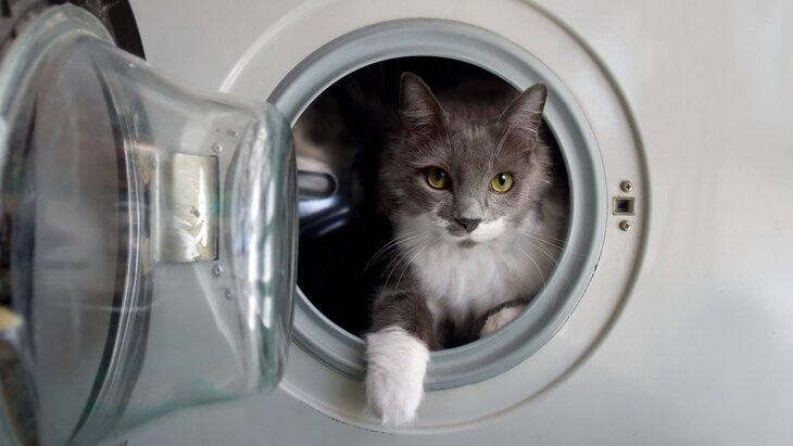 ��� � ������ ����� ����� �������� ������