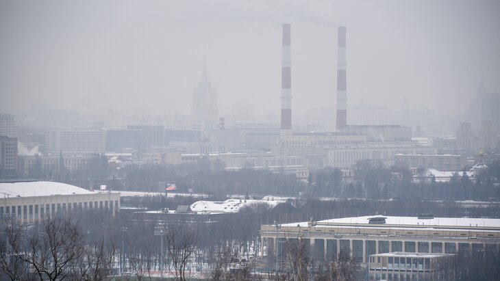 �������� ������ � ������ ���� ��������� � ������ 5 �����