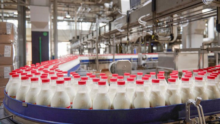 ����������� ������ ��������� ������������ ������� ��������� � 2024 ����