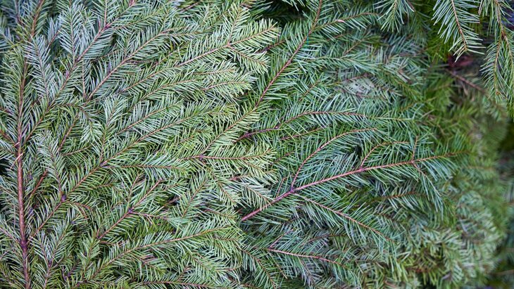 ������� �������� � ������� ���������� ������� �� �������� "��������� ����" � ������