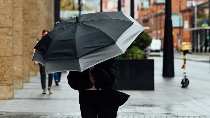 �� 19 �������� ����� � ��������� ����� �������������� � ������ 15 ����