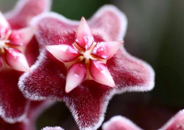 �������� ���� �������� ������ � �������������