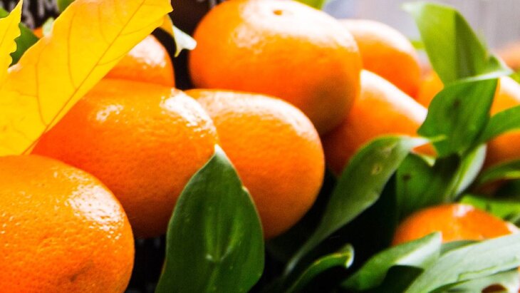 ����������������� ����� "����������� ��������" �������� �� ��������� ��������