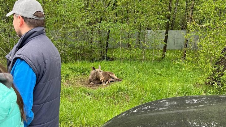 ������ ������� ���� ����� ����� ��� ������ �� ������� � �����������