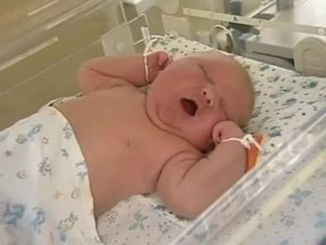 ���� ���������� ���� ���������������� ����� 7 000 �������������