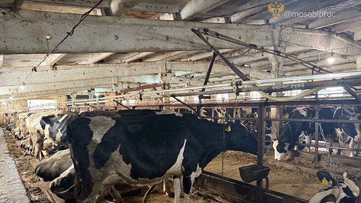 ��������� �������� �� �������� ������ � ����� � ������������