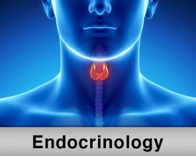 � ������������ ������� ������ �� ����������� ������� ��������