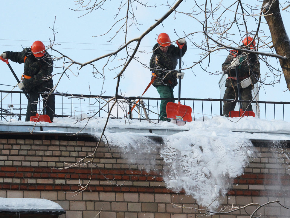 � ������ ���� ���������� ���������� ������ ����������� �� 10,8 �������� ������ �� ��������������� ������� �������