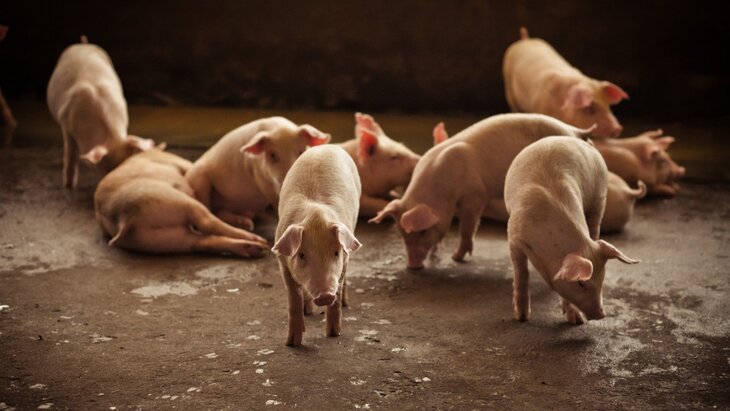 ������� ��������� ������� ��������� � ���������� �� ������ ����������