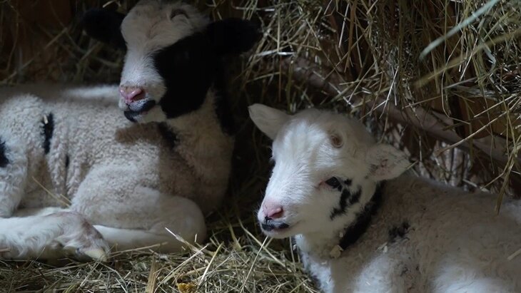 ��� ������� �������� � ������� ����������� �������� � ������� ������ � �������������� ����