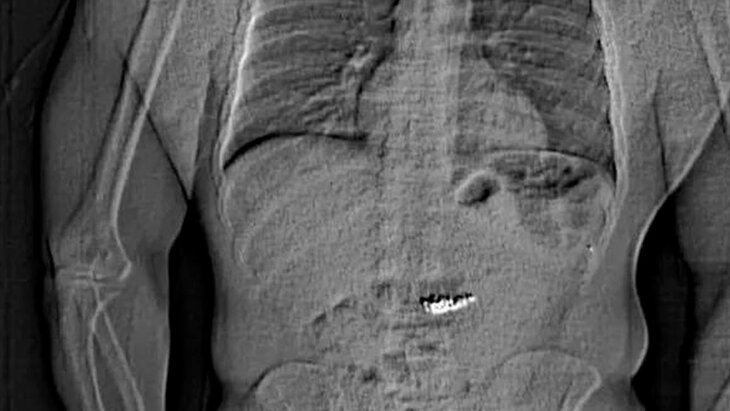 � ��� ��� ��������� ������������� ������ �� 770 ��� ��������