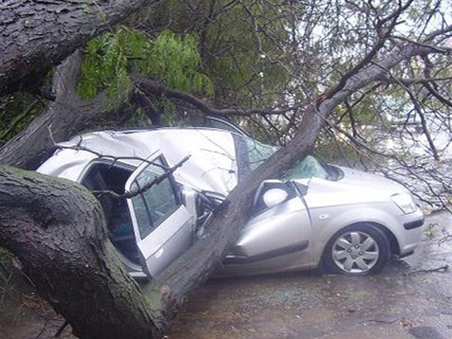 �� ����� ����� � ����� ������� �����������!