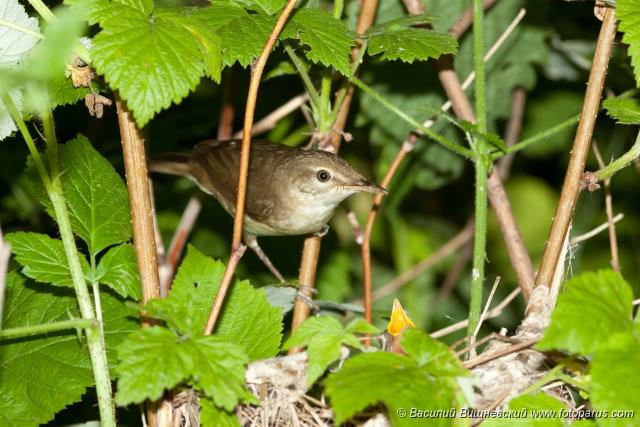 � ������� ������� ����� ����� �� ����� ��������