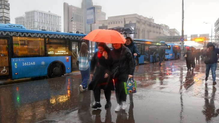 ��������� �������� ������������ ������������ ����������� ��-�� ��������