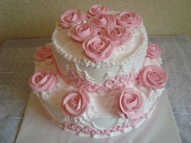 ����� �������� ���������, ���������� ���������, �� ������ ��� ������� � 20% �� 25%