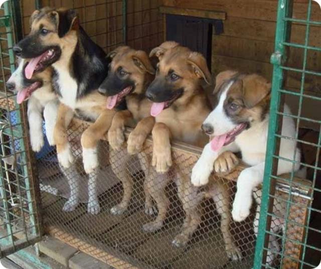 � ������ ���������� ������� ���������� �������� �� ���������