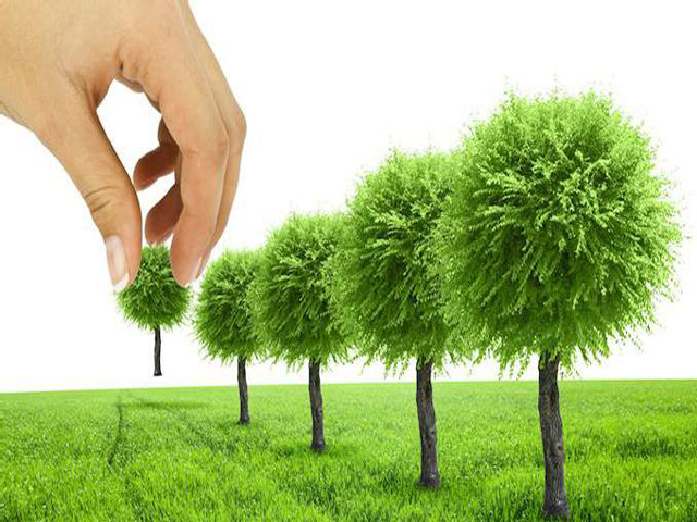 ���������� ������� ���������� ���������� �������� ������ ��������� �� 13 ������� 