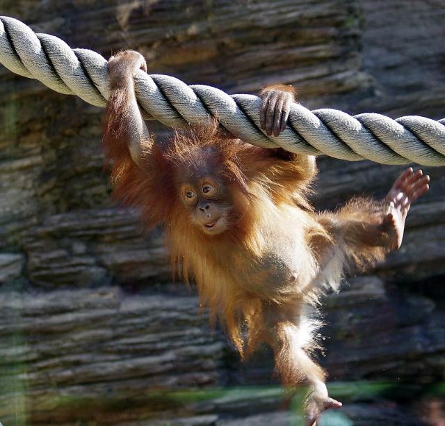 � ���������� �������� ��������� �������� ��� �����