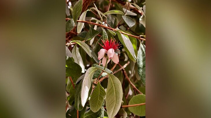 ������ ������� �������� � ��������� "������������ �������"