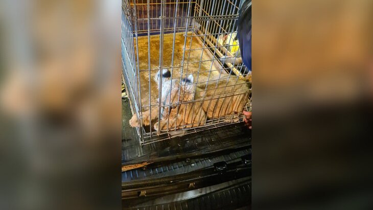 ��� ���������� �������� �� ��������� ������ ������� � ������ ����������